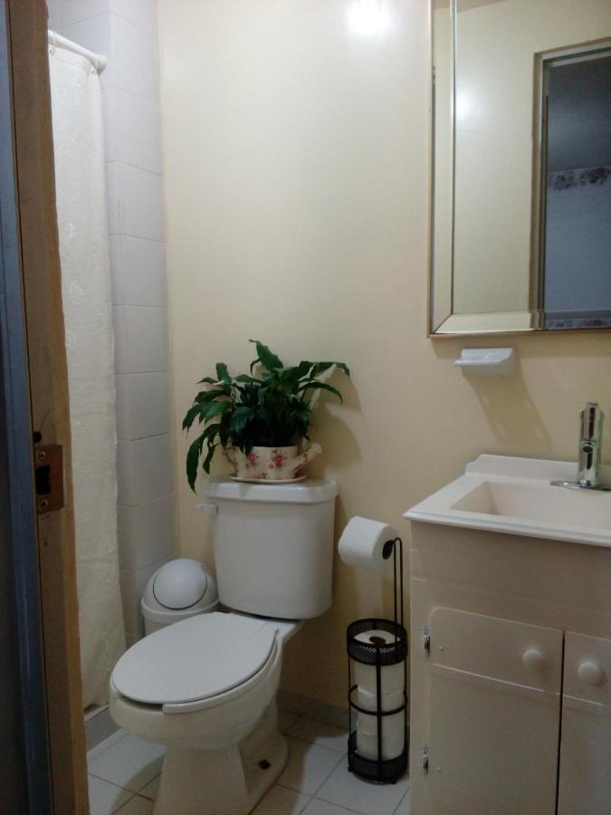 Normalsuite Mexico City Ngoại thất bức ảnh